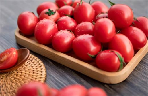 为什么特别爱吃西红柿？特别爱吃西红柿的原因是什么？
