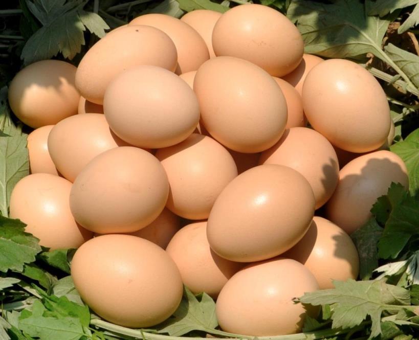 怎么吃鸡蛋最健康？哪些鸡蛋不宜吃？