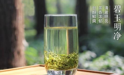 兰岭绿茶