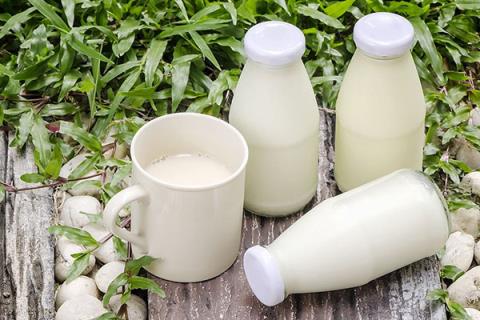 牛奶和羊奶的区别是什么