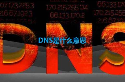 DNS是什么意思