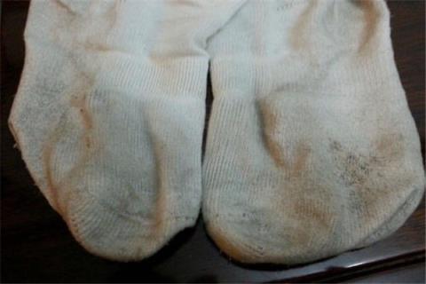 袜子和内裤可以一起洗吗